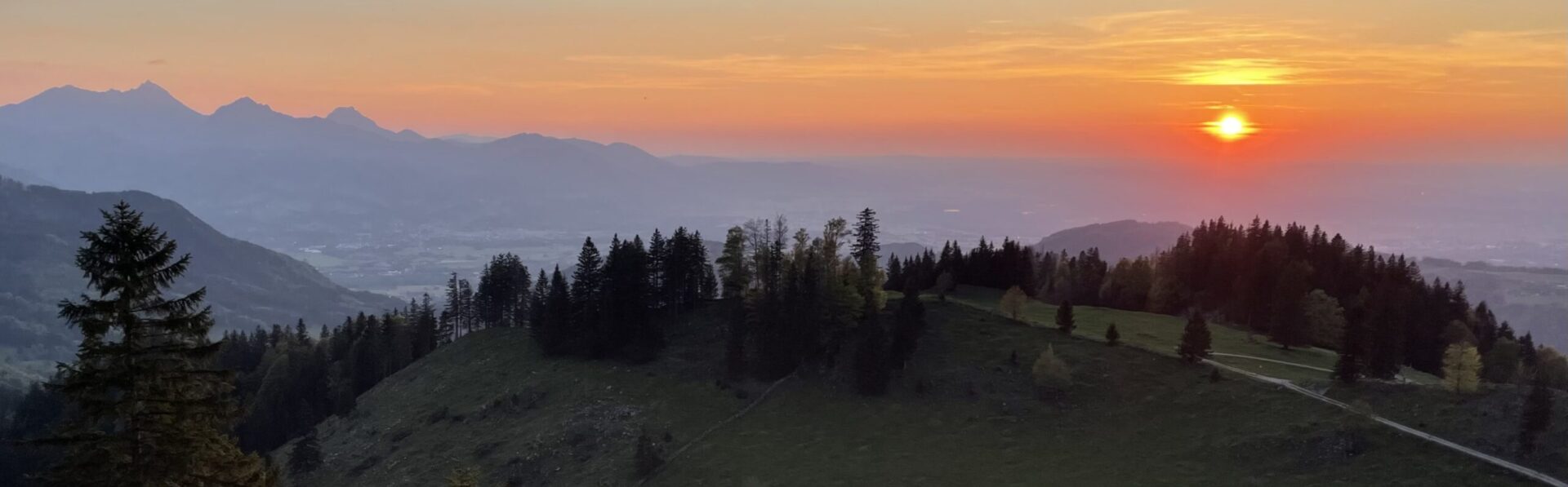 Wahrnehmungsschulung im Lebendigen